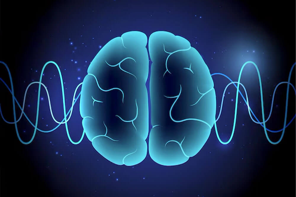 Échographie neurologie